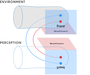 Why connection to brain are crisscrossed?