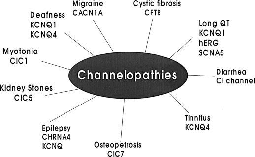 Health conditions linked to dysfunctions of Ion channels and the specific channels involved